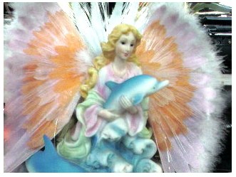 fiberopticdolphinlady-jpeg-image-320x240-pixels