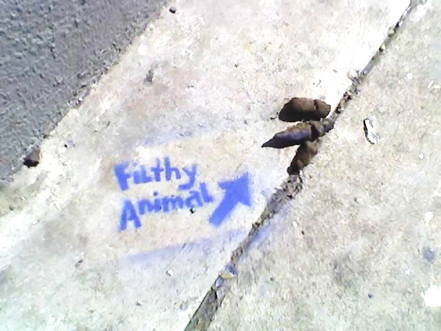 filthy-animal-stencil-graffiti