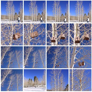 birdhouse-trip-a-set-on-flickr