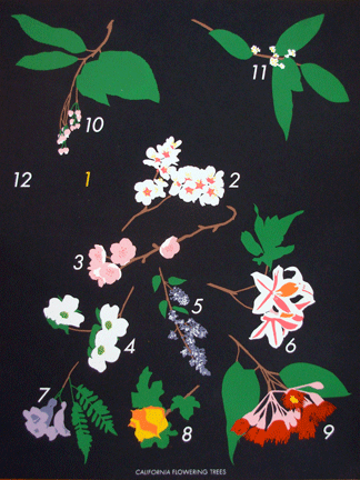 flowering_trees