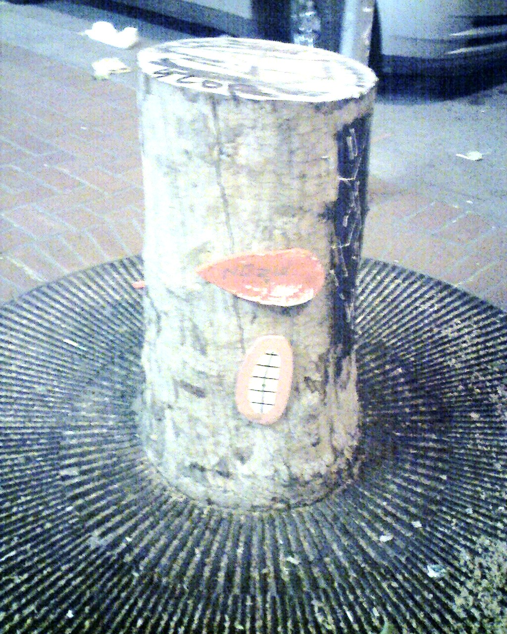 forlorn-tree-stump-abused