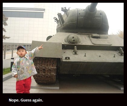 tanks-and-insects-tanks-and-insects