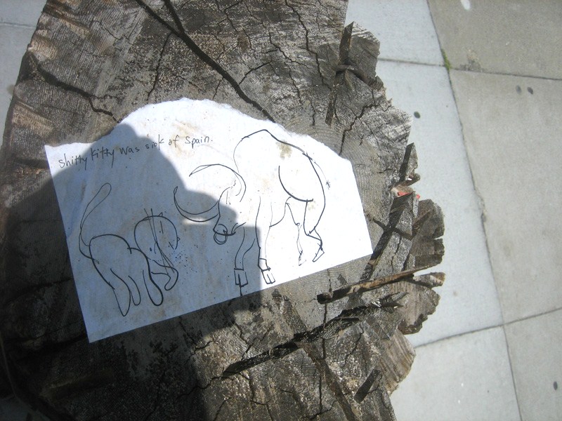 shitty kitty was sick of spain