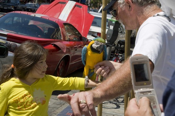 ScreenHunter_14 Jul. 13 09.30