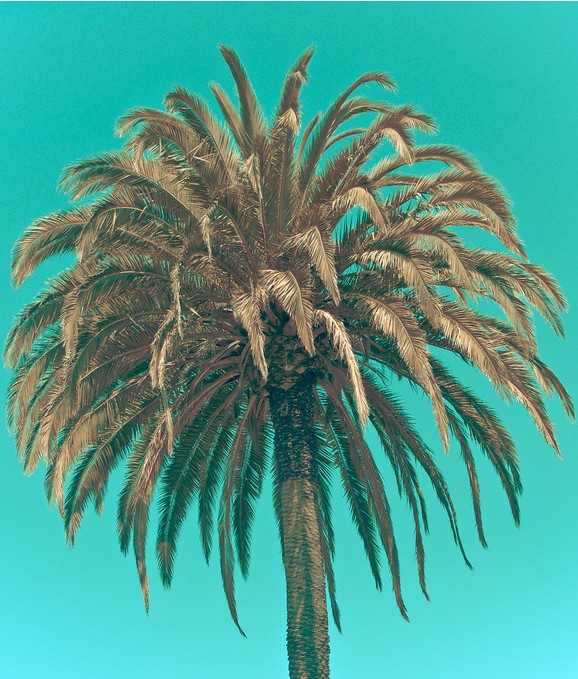 ScreenHunter_20 Aug. 11 16.33