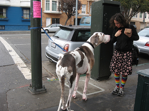 Screen shot 2009-10-29 at 9.54.29 AM