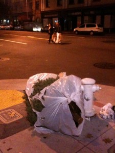 xmas2