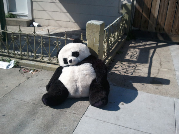 Sad panda Posted Oct 25 2011 at 1042 am by Allan Hough Categories Pets