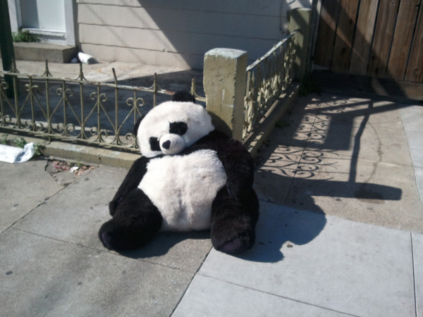 Sad panda Posted Oct 25 2011 at 1042 am by Allan Hough Categories Pets Sad panda Posted Oct 25 2011 at 1042 am by Allan Hough Categories Pets