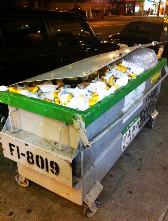 squash, food, garbage, mi ranchito market, san francisco, mission district, dumpster, dumpster diving