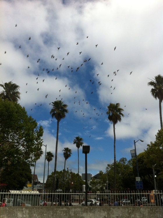 20120726-150335.jpg