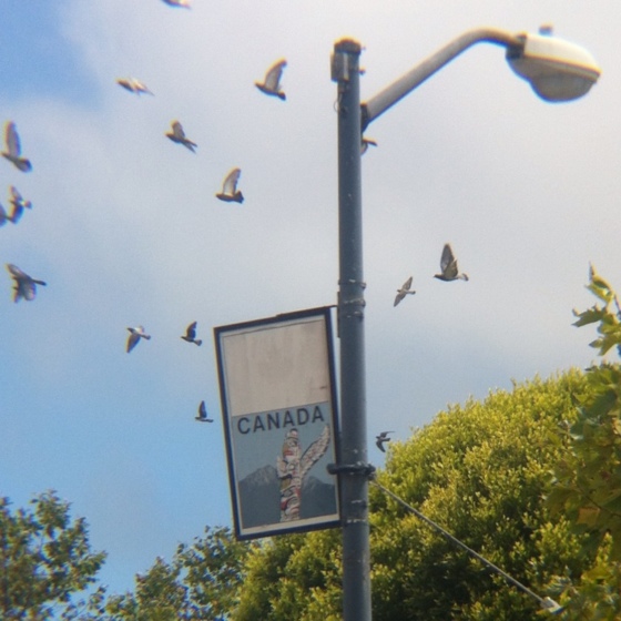 20120726-161208.jpg