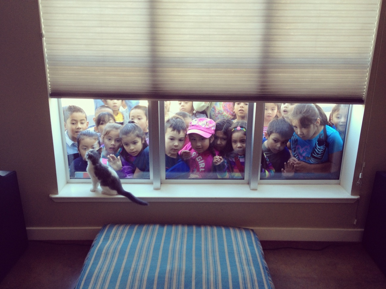 Swarm Of Kids