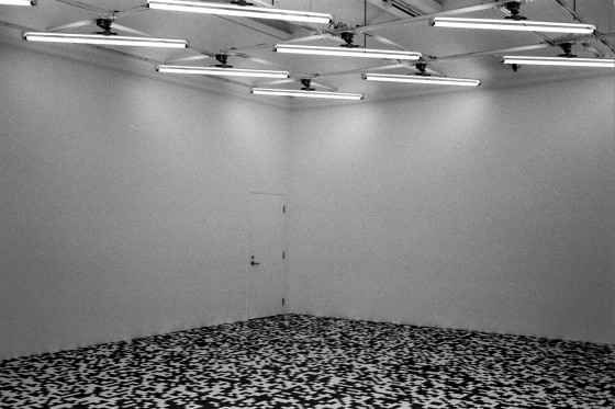 Autosave-File vom d-lab2/3 der AgfaPhoto GmbH
