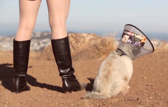 Screen shot 2013-12-12 at 4.37.20 PM